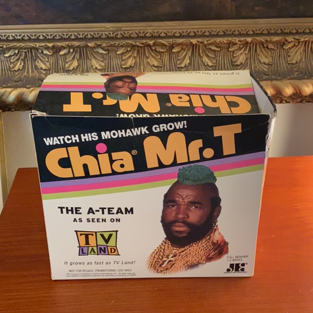 Rare Christmas gift idea promotional MR. T  Chia Pet.  Never used.